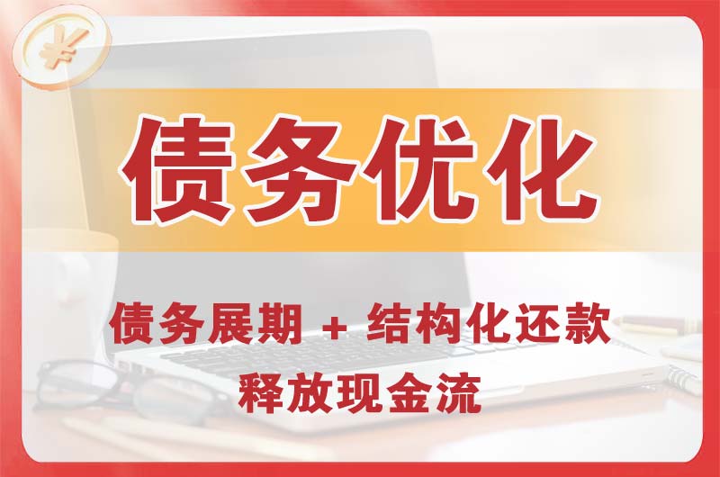 庄河债务优化